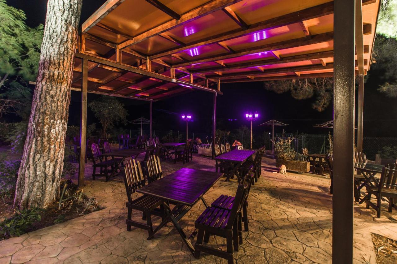 Pine View Boutique Hotel Adults Only Saittas Esterno foto